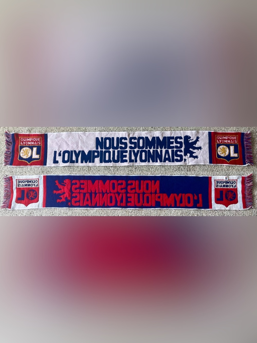 Olympique Lyonnais Nous Sommes One Sided Soccer Scarf